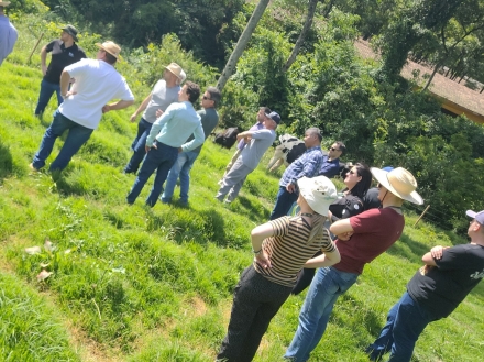 Consrcio Iber -